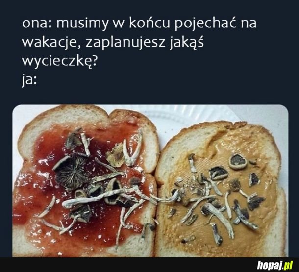 Wycieczka