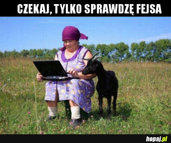 Tymczasem na wsi