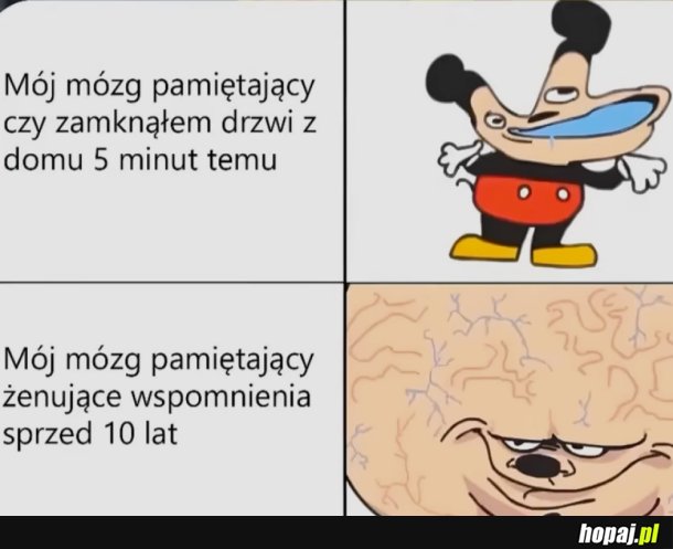Typowy mózg