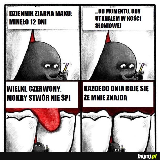 Przygody Pana Maczka Negri