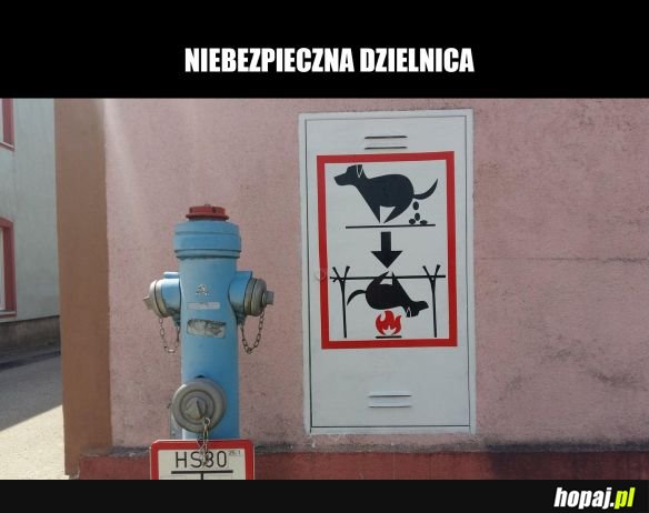 Pieseł