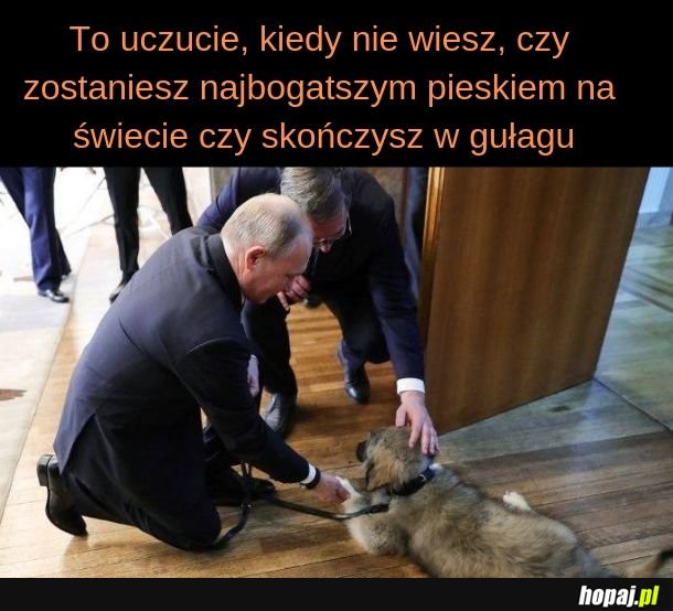 Pieseł