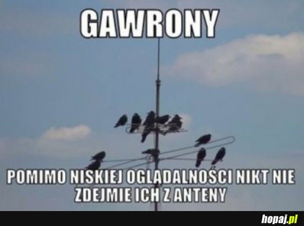 GAWRONY