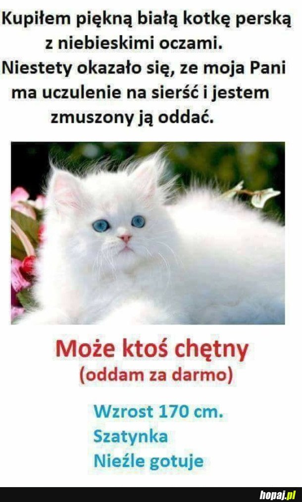 KTOŚ CHĘTNY?