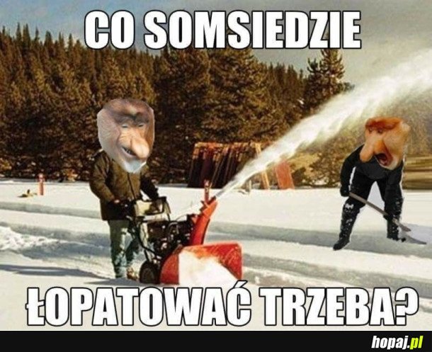 CO TAM SOMSIEDZIE