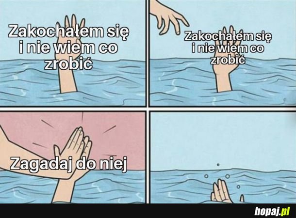 Zakochałem się 