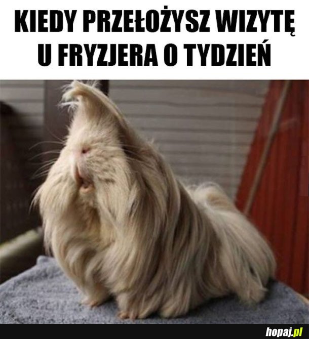 TROCHĘ SIĘ ZAROSŁO