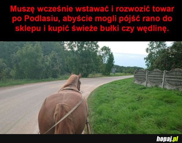 Tymczasem na Podlasiu