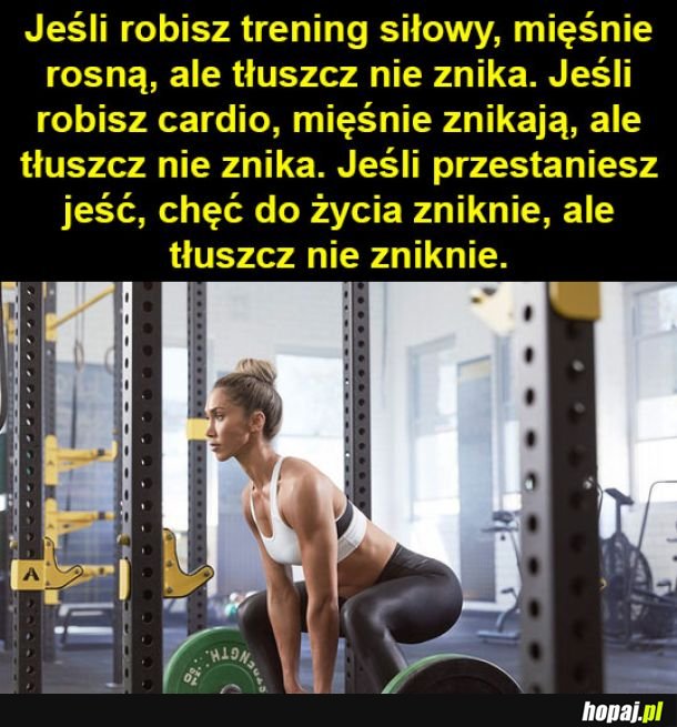 Tak w skrócie