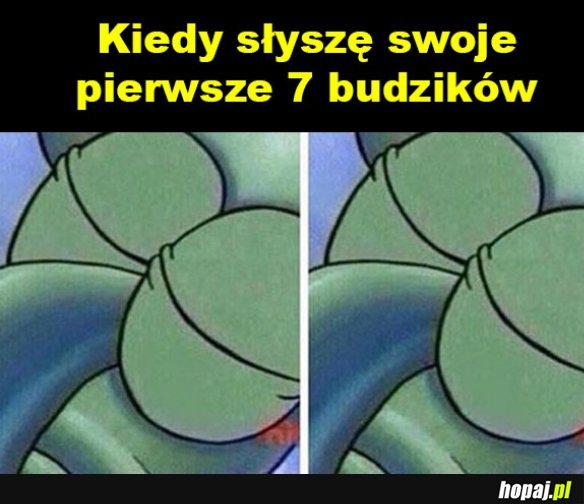 Nie wstaję...