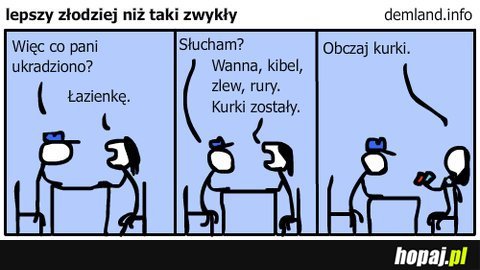 Więc co Pani ukradziono?