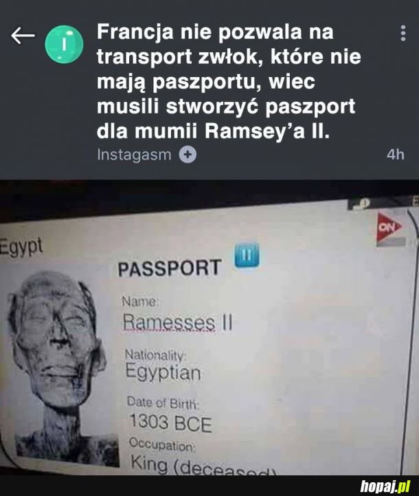 Francuskie prawo jest dziwne