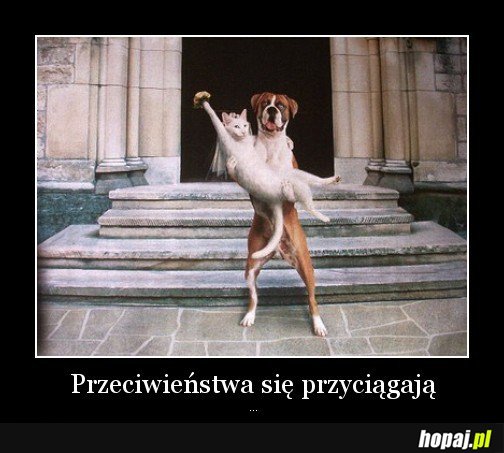 Przeciwieństwa się przyciągają