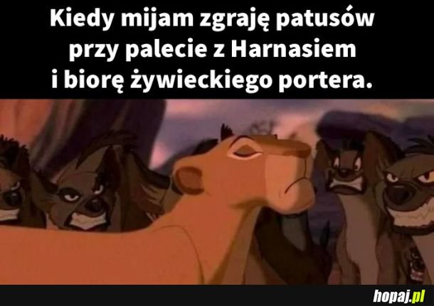 Król za 5 złotych