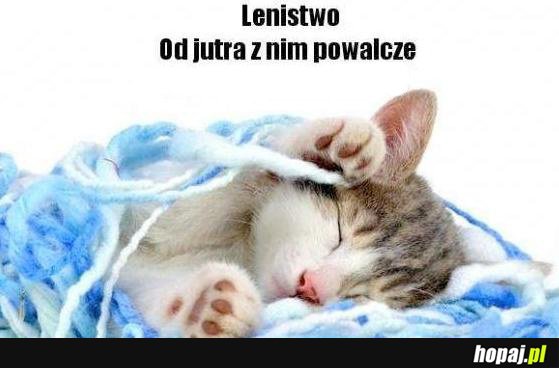 Lenistwo