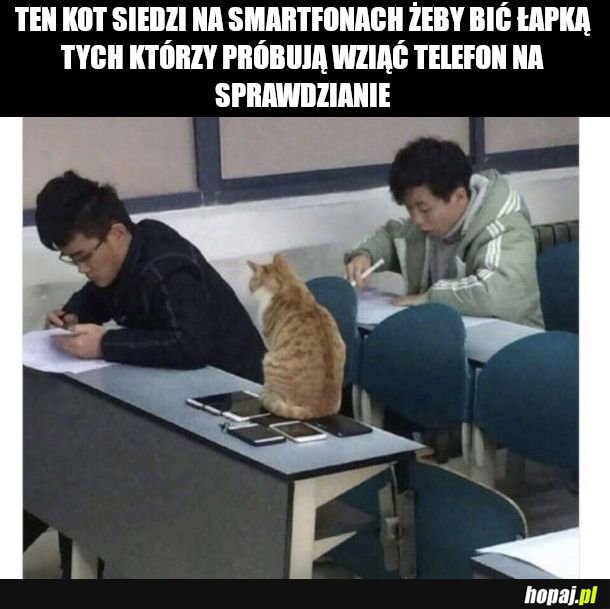 Sposób