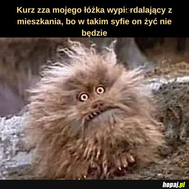 Kurz