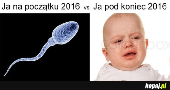 2016 W PIGUŁCE