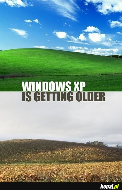 Windows XP starzeje się