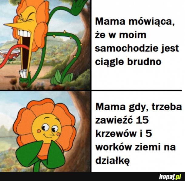 Brudno w samochodzie