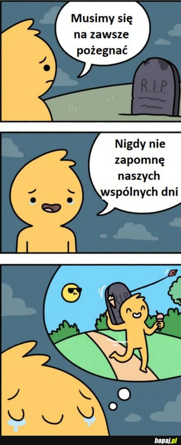 Zostaną wspomnienia