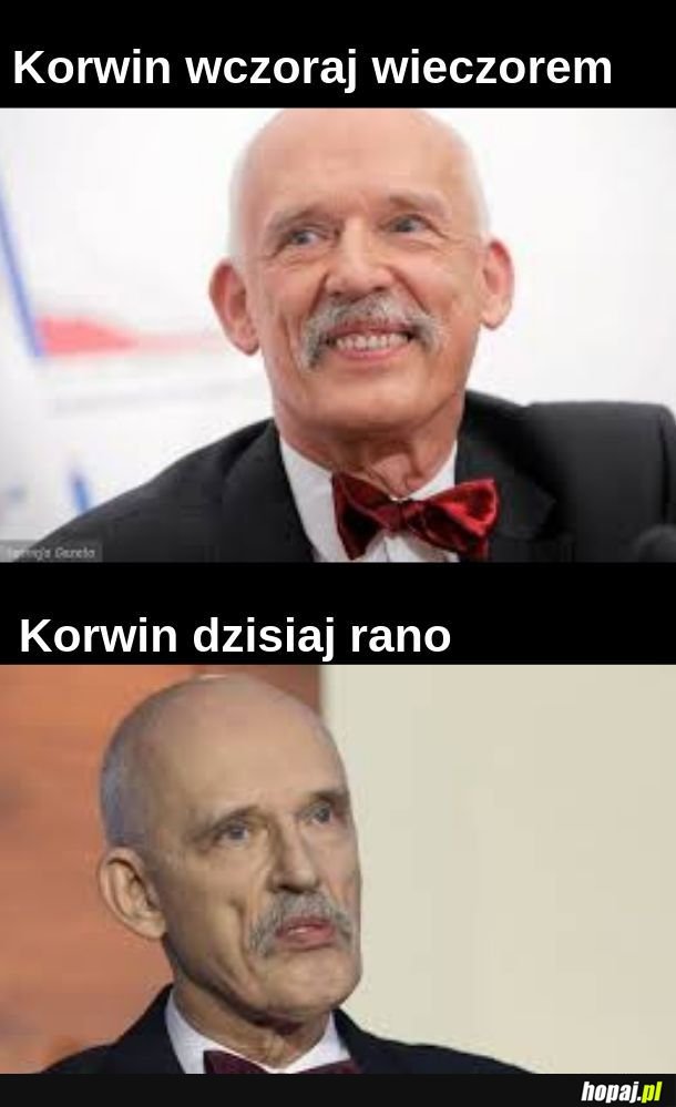 Korwin 