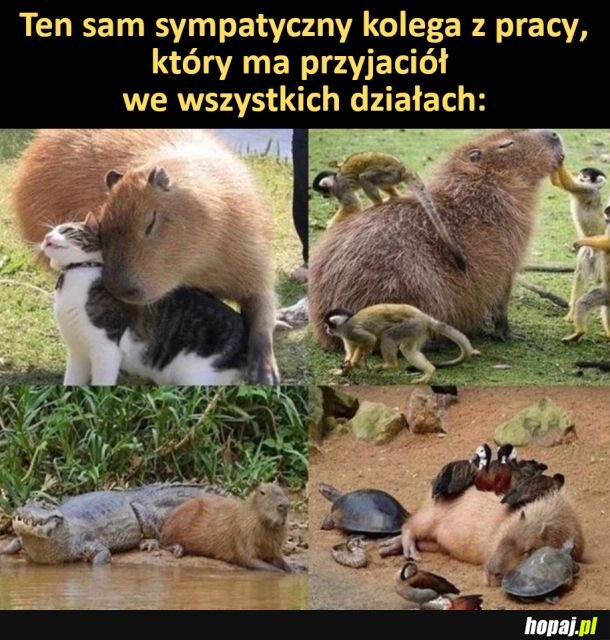 Przyjacielski współpracownik