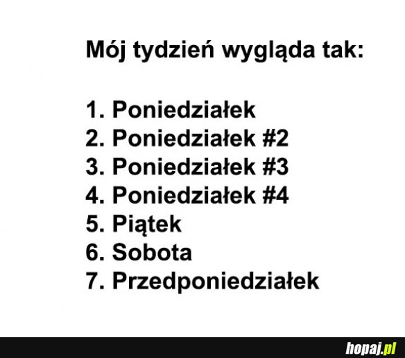 Mój tydzień