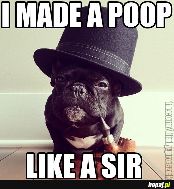 Like a sir