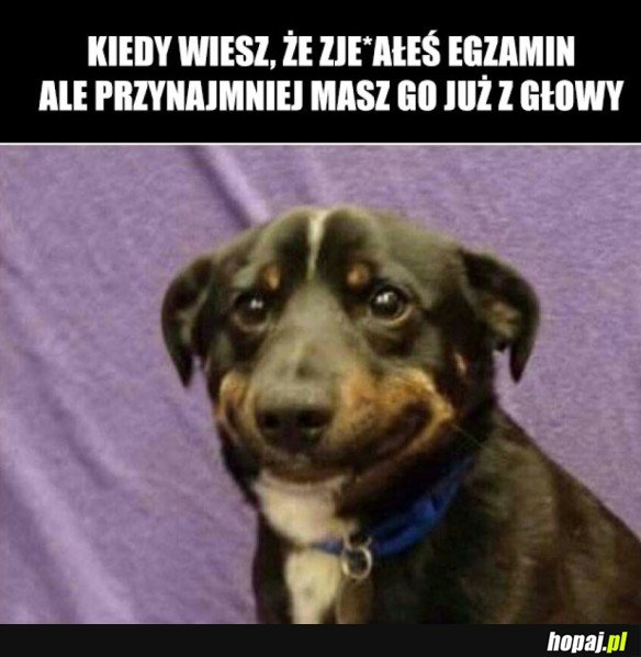 PO EGZAMINIE