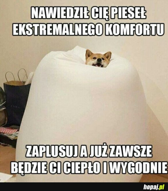 EKSTREMALNY PIESEŁ