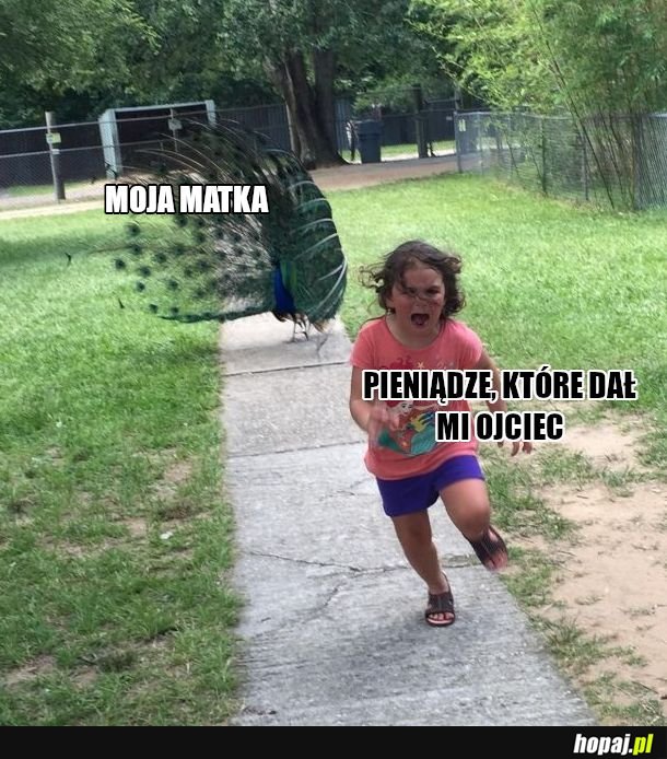 Nic jej nie dawaj! 