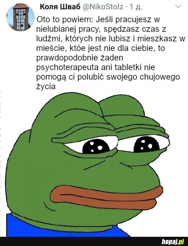 Czas na chwilę mądrości