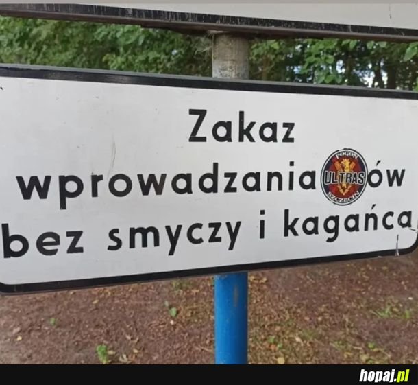 W końcu ktoś o tym pomyślał