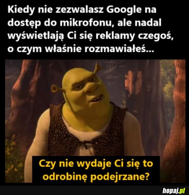 Prywatność według Google