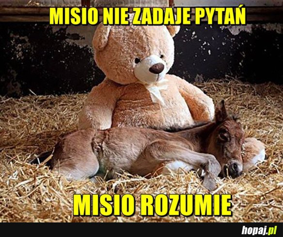 PRZYJACIEL MISIO