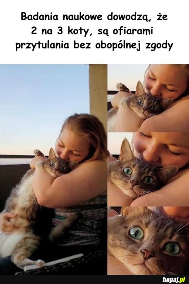 Na siłę