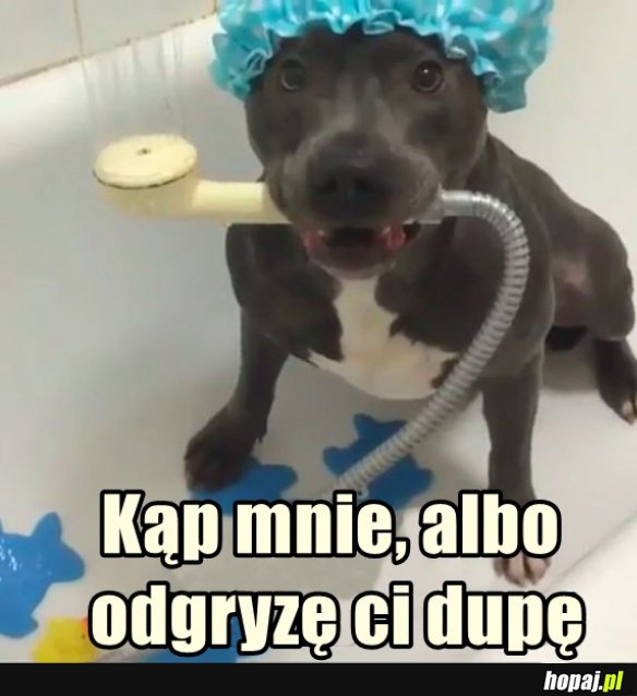 Wykąp mnie