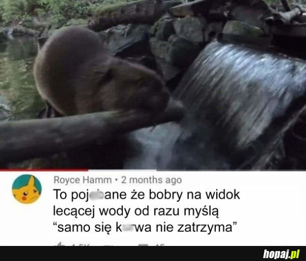 Bobry