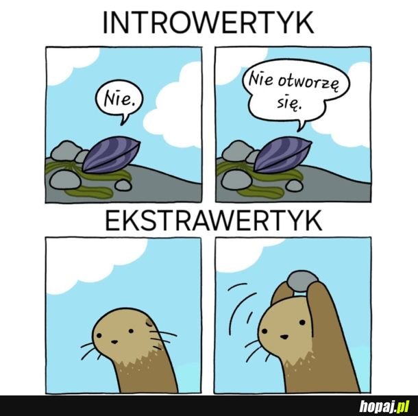 Zaraz Ci pomogę