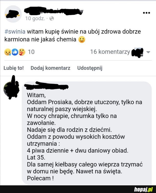 Kto jeszcze chętny na świnkę