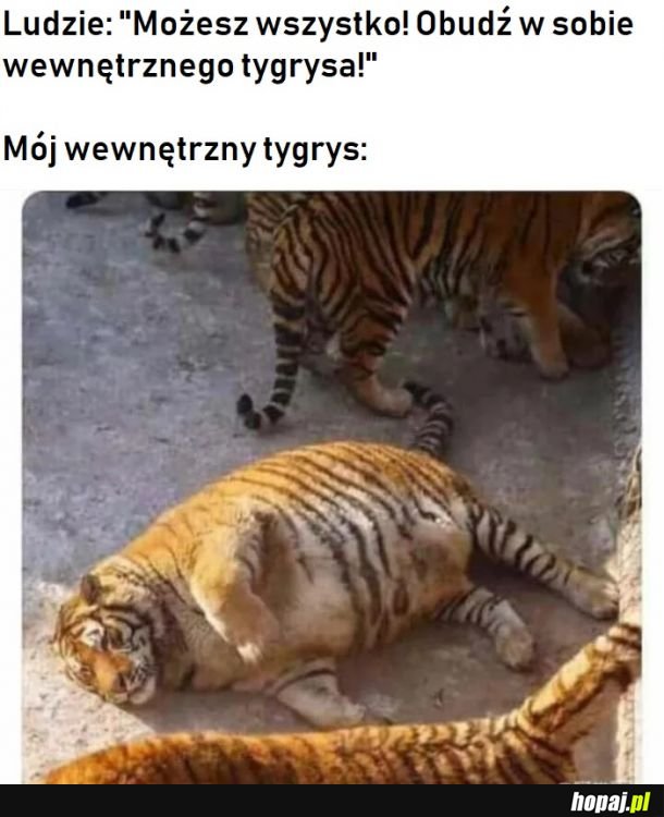 Ciężko dobudzić 