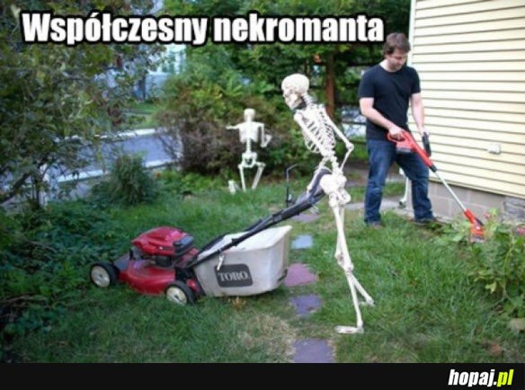 KOŚCIOTRUPY