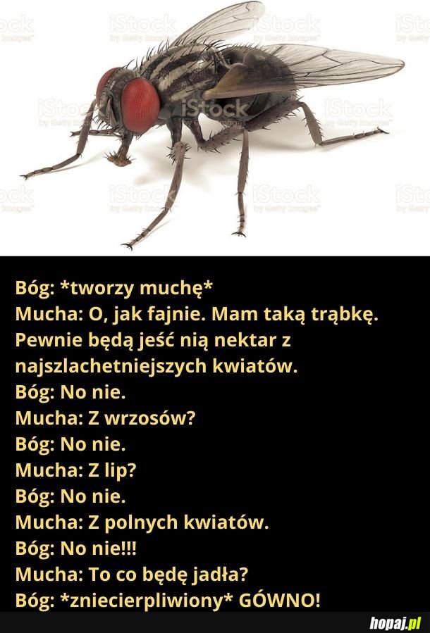 Tak było. Poczytajcie sobie Biblię.