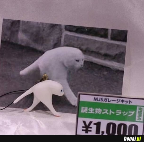 Must have