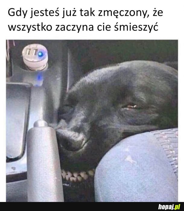 Zmęczenia wiele...