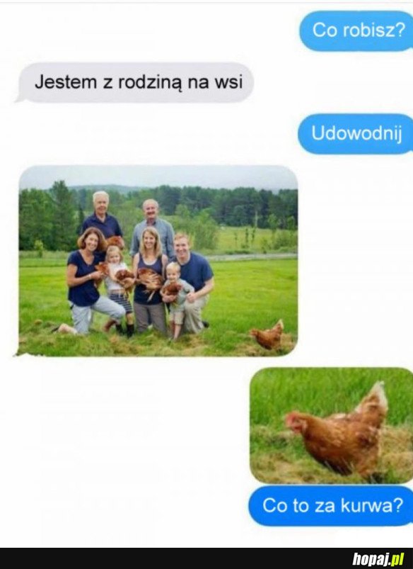 CO TO ZA KURRR...A?!