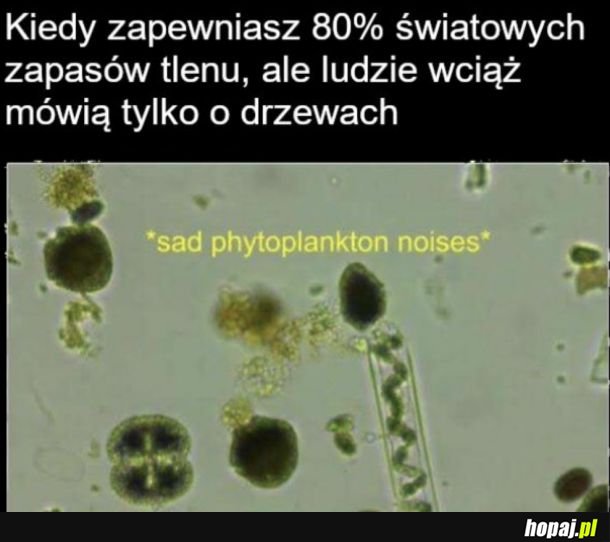 Doceńmy