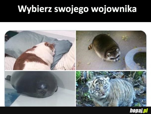 Wojownik