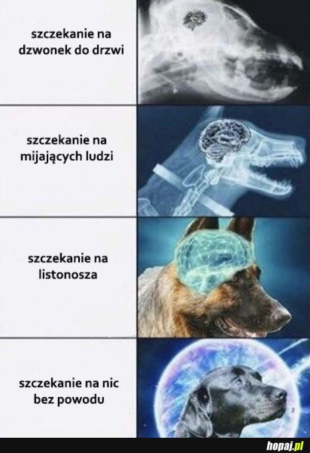 Szczekanie